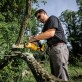 DeWALT DCMPS520N motorzāģis / zaru zāģis